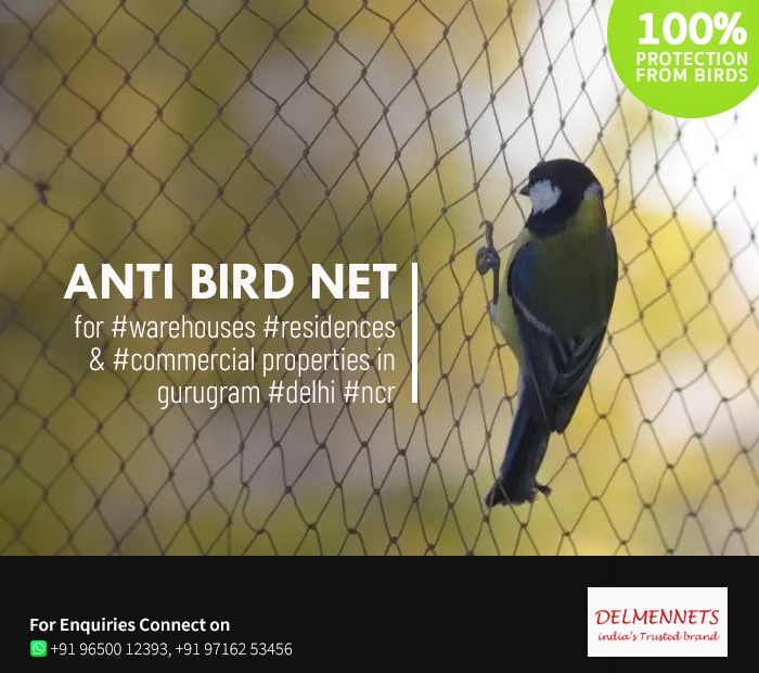 Anti Bird Net Manufacturer and Supplier in Gurgaon