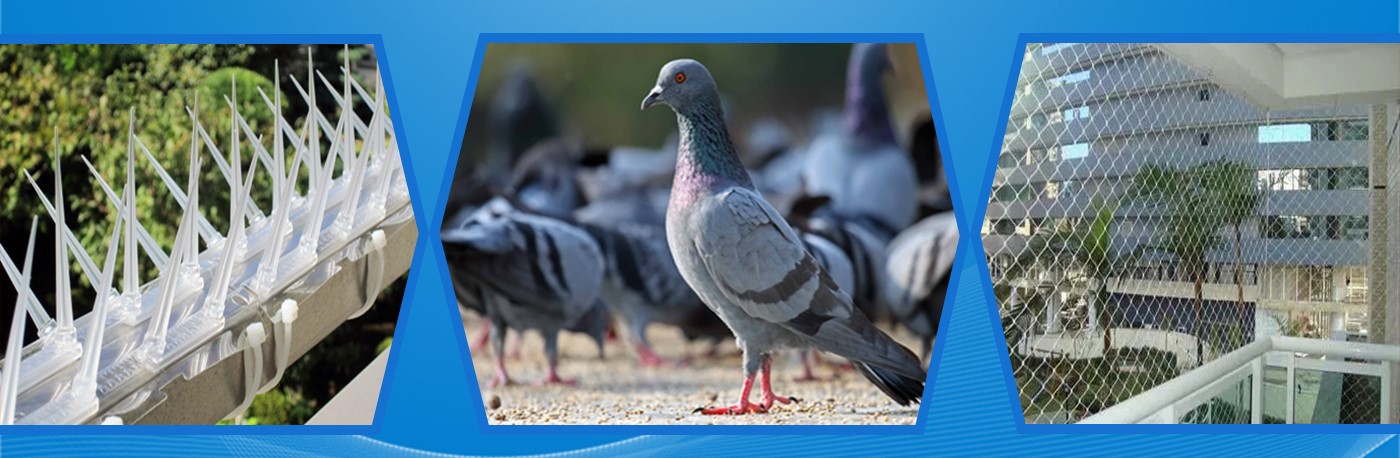 Pigeon Net Manufacturer and Supplier in Gurgaon